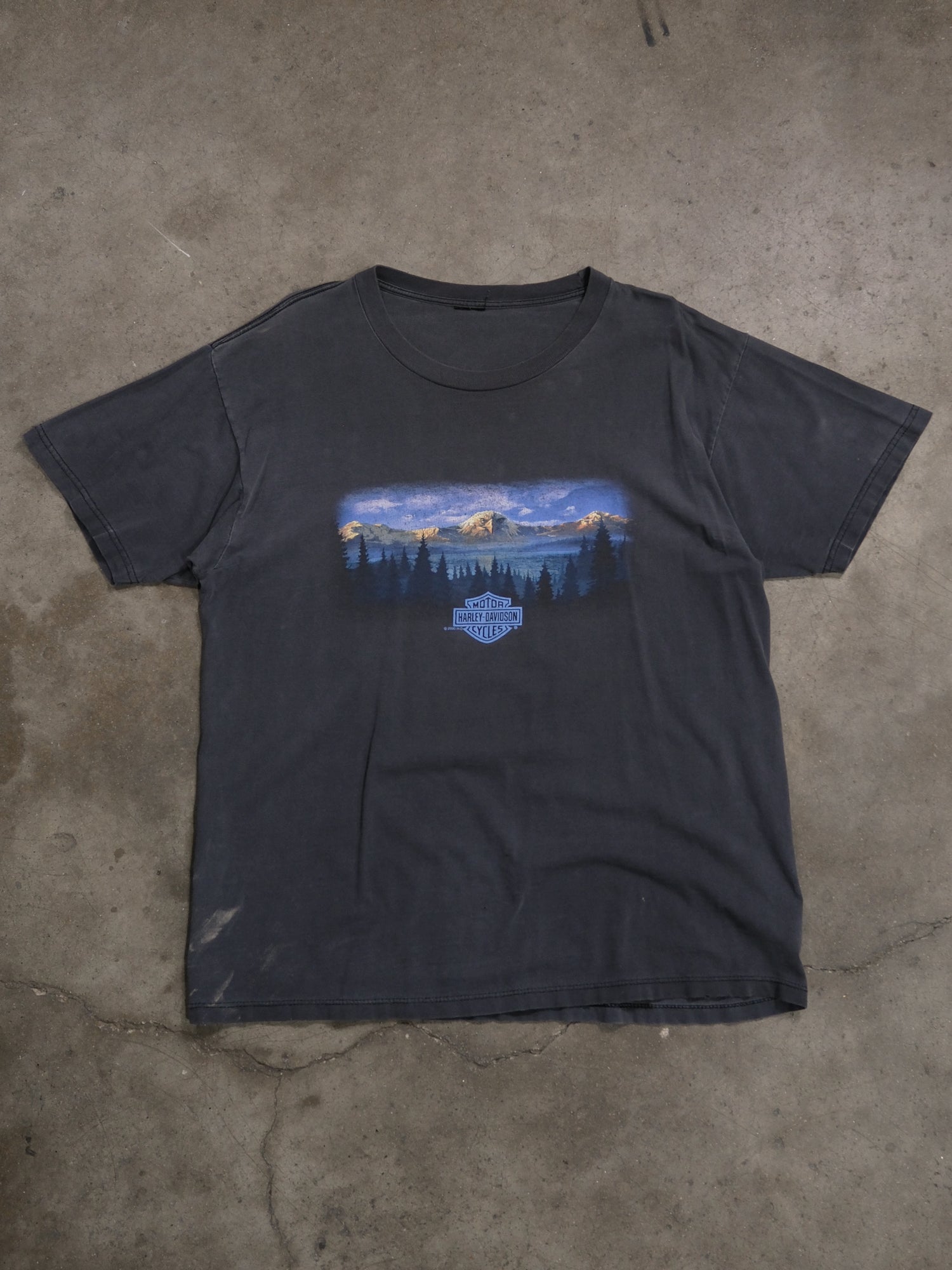2000S 'ITHACA' HARLEY DAVIDSON TEE