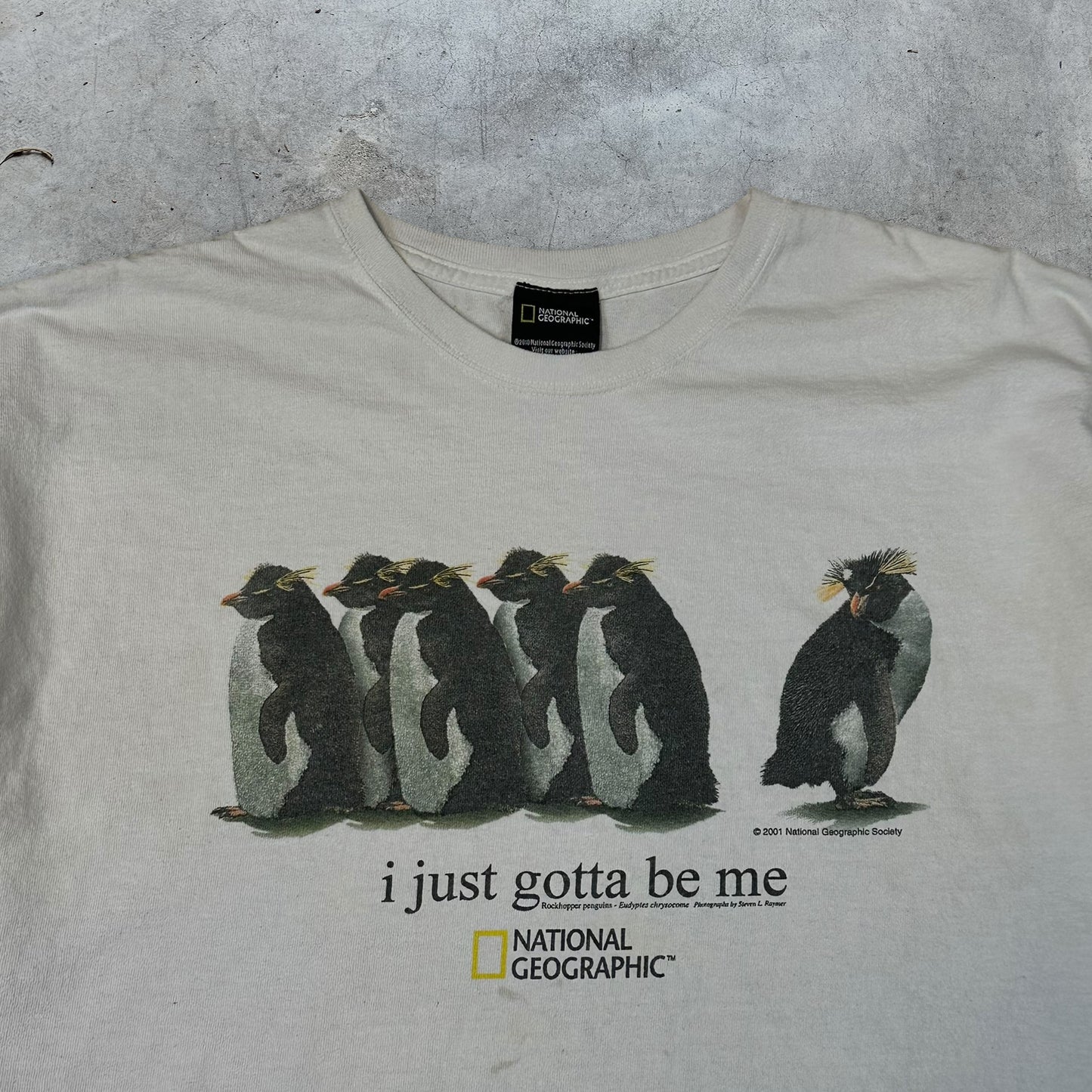 2000S NATIONAL GEOGRAPHIC TEE / LARGE